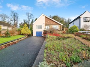 Photo 11- click for photo gallery